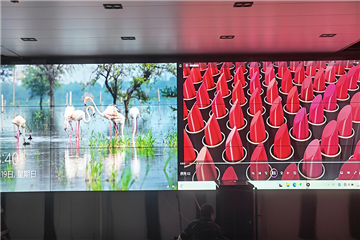 肇庆万里扬储能项目-5517-3X6